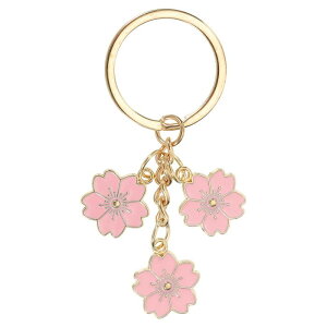 PATIKIL Ԃ̃L[`F[ GiL[`F[t[L[Oy_g ւ̃Mtg z nhobO obȎ sNF