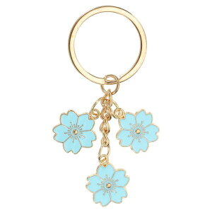 PATIKIL Ԃ̃L[`F[ GiL[`F[t[L[Oy_g ւ̃Mtg z nhobO obȎ Cgu[