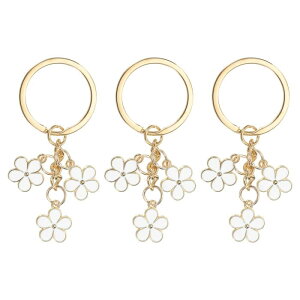 PATIKIL Ԃ̃L[`F[ ւ̃MtgɓKp 炵GiL[`F[t[L[Oy_g zCg 3Zbg