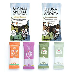 Shonai Special POWBAR VEiCXyV pEo[ Ăَq6_Zbg(i`GiW[o[2ApEo[4) yoR }\ jO gCjO gCAX s