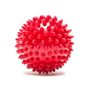 PRO-TEC vebN Spiky Massage Ball XpCL[}bT[W{[ gQgQ  ؖ ؓJ J Jo[ nr ق Xgb` g[jO ؃g tBbglX 