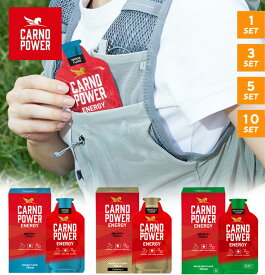 浜理 ハマリ カルノパワー ENERGY ジンジャエール味(カフェイン入り)/ラムネ味/メロンソーダ味 ランニング トレラン 補給食 エナジージェル エネルギージェル エネルギー補給 捕食 ゼリー 行動食 初心者 カルノシン パラチノース スポーツ ロードバイク
