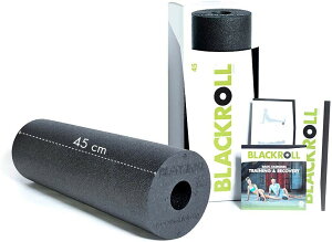 �������� �u���b�N���[�� �h�C�c�� STANDARD 45 �u���b�N 243g 45cm×15cm(���{���K�i 1�N�ۏ�)