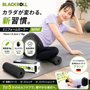 �u���b�N���[�� �t�H�[�����[���[ �~�j �ؖ������[�X �u���b�N 18g 15cm×5.3cm(���{���K�i 1�N�ۏ�)