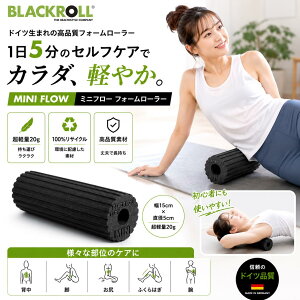 �u���b�N���[�� �t�H�[�����[���[�~�j FLOW �u���b�N 20g 15cm×5cm(���{���K�i 1�N�ۏ�)
