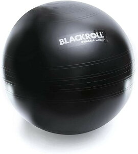 �u���b�N���[�� �o�����X�{�[�� GYMBALL ���K 65cm(���{���K�i 1�N�ۏ�)
