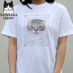 tVc lR L TVc fB[X Y v[g LWg L LObY G Ln t@bV gbvX IV { j 100 IWi   킢 v