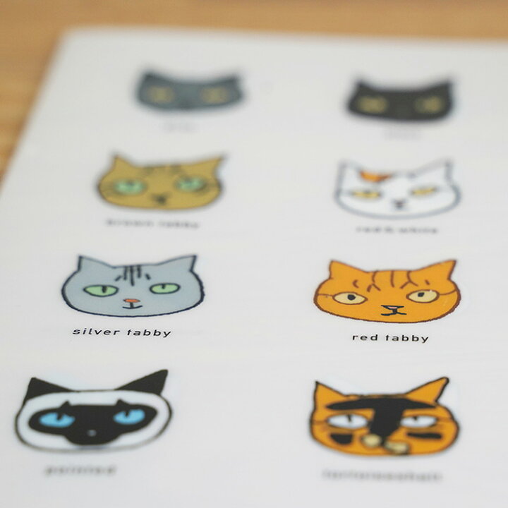 楽天市場 猫 クリアファイル ネコ柄 A5クリアファイル イラストファイル ねこクリアファイル 猫グッズ 雑貨 プレゼント オリジナル A5サイズ 小 日本製 かわいい おしゃれ オシャレ シンプル 黒猫 白猫 ハチワレ猫 サビ猫 シャム猫 キジトラ 茶トラ サバトラ ミケ猫 1650