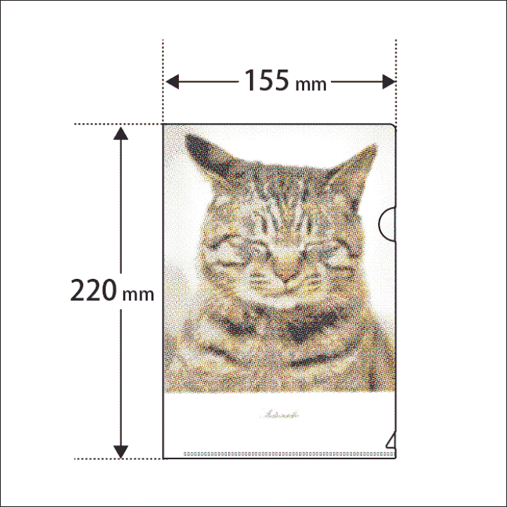 楽天市場 猫 クリアファイル ネコ柄 A5クリアファイル イラストファイル ねこクリアファイル 猫グッズ 雑貨 プレゼント オリジナル A5サイズ 小 日本製 かわいい おしゃれ オシャレ シンプル 黒猫 白猫 ハチワレ猫 サビ猫 シャム猫 キジトラ 茶トラ サバトラ ミケ猫 1650