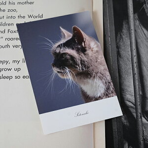 L |XgJ[h LzLObY LG L [ ˂|XgJ[h lR L TogL ʐ^ CeA|XgJ[h yv[g {zIV 킢 Vv I