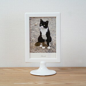 楽天市場 猫 ポストカード 靴下 白黒猫 猫グッズ 猫雑貨 猫柄 文房具 ねこポストカード ネコ紙もの 猫小物 写真 インテリアポストカード プレゼント 日本製 オシャレ かわいい シンプル オリジナル デザイン 1500円で送料無料 Sotoneko Japan