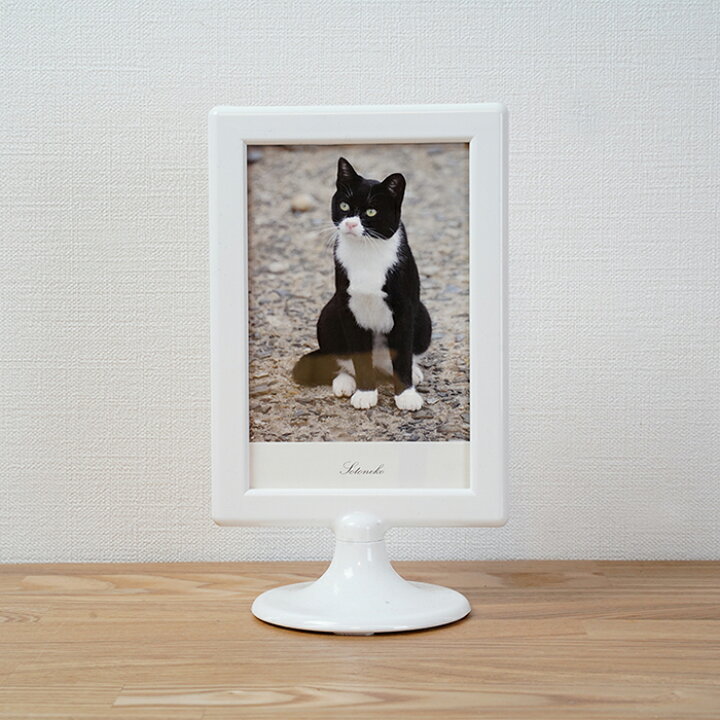 楽天市場 猫 ポストカード 靴下 白黒猫 猫グッズ 猫雑貨 猫柄 文房具 ねこポストカード ネコ紙もの 猫小物 写真 インテリアポストカード プレゼント 日本製 オシャレ かわいい シンプル オリジナル デザイン 1500円で送料無料 Sotoneko Japan