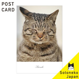 lR |XgJ[h LWL LObY ˂|XgJ[h lR L Lʐ^ CeA|XgJ[h t@Cy[p[ IV 킢 Vv IWi fUCyv[