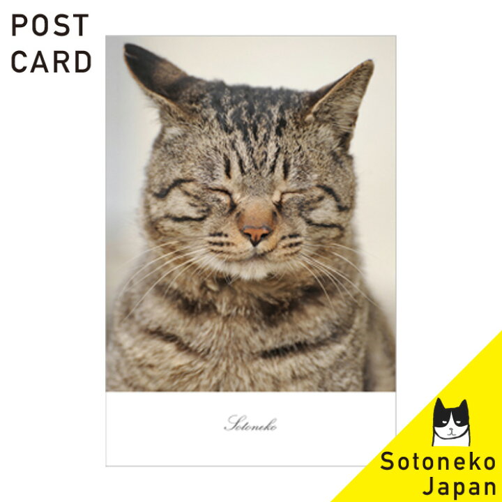 楽天市場 ネコ柄 ポストカード キジ猫 猫グッズ ねこポストカード ネコ紙もの 猫小物 猫写真 インテリアポストカード ファインペーパー オシャレ かわいい シンプル オリジナル デザイン プレゼント ギフト 日本製 猫雑貨 猫柄 ねこ ネコ 文房具 1 500円で送料無料