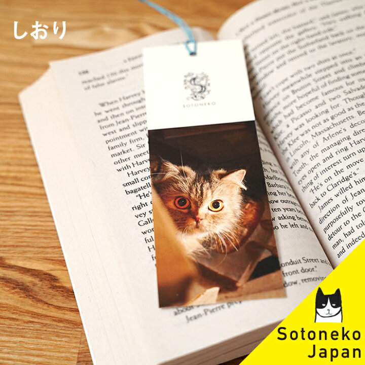 楽天市場 ネコ しおり キジ猫 猫グッズ 雑貨 プレゼント 男性 ねこ好き 栞 紙 ブックマーク 写真 日本製 可愛い かわいい おしゃれ オシャレ シンプル メンズ レディース 大人 デザイン キジトラ ネコ柄 猫 ネコ ねこ 文房具 1500円で送料無料 Sotoneko Japan
