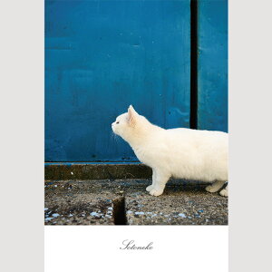 L |XgJ[h LObY ˂|XgJ[h L Lʐ^ CeA IV 킢 Vv IWi fUC LWg VL L Togyv[g Mtg {zy