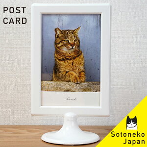 L |XgJ[h LX^[ LWL LObY LG L [ ˂|XgJ[h lR L 賔L ʐ^ CeA|XgJ[h yv[g {zIV 킢 Vv