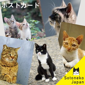 楽天市場 猫 雑貨 茶トラの通販