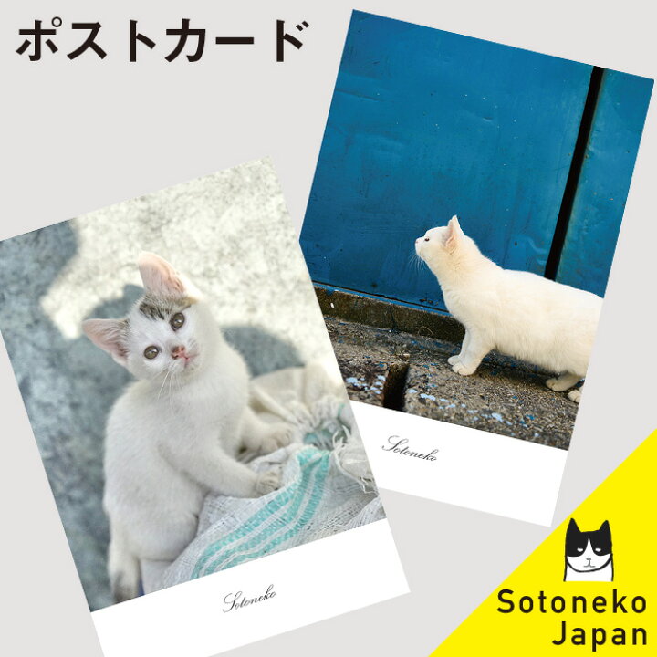 楽天市場 猫 ポストカード 白猫 キジ猫 猫グッズ ねこポストカード B ネコ紙もの 猫小物 猫写真 インテリアポストカード オシャレ かわいい シンプル オリジナル デザイン プレゼント ギフト 日本製 猫雑貨 猫柄 ネコ ねこ 文房具 1 500円で送料無料 Sotoneko Japan