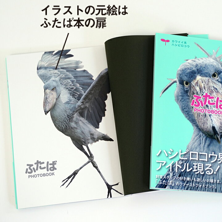 驚きの価格が実現 ハシビロコウシール Lacistitis Es 驚きの価格が実現 ハシビロコウシール Lacistitis Es