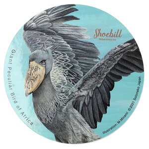 XebJ[ V[ ~  nVrRE ObY nVrREObY nVrRE nVrREG { v[g IV @2,200~ő