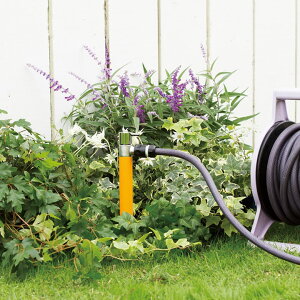 yz[Xڑp̗zy𒌁zuW[S@Up𒌁v