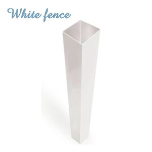 yzy݌zuzCgtFX 5C`puN|Xgv