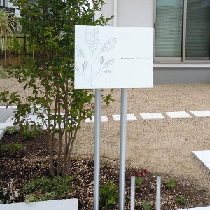 yzuA[g|Xg L'ombre upX^h |Xgʔv