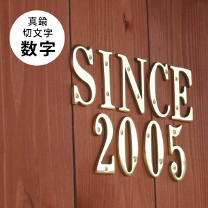 y\Dzy1izyuXio[z u^Jؕ iio[jv