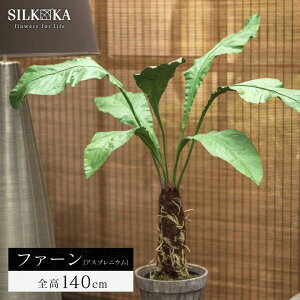 A tFCNO[ ^ ut@[iAXvjEj 140cm VJiSilk-kajv lH ϗt A  lHϗtA  CeAO[ ϗtA tFCN O[ rO