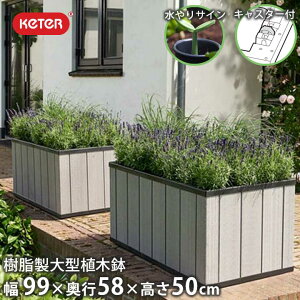 yGg[Ń|Cg5{zy؉AؔzyzuP^[ iKETERj ZRCAv^[iSequoia planterj MTCYv