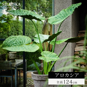 A tFCNO[uAJVA 124cm VJiSilk-kajv ^ lHϗtA  CeAO[ NYC