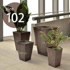 観葉植物 室内 鉢の人気商品 通販 価格比較 価格 Com