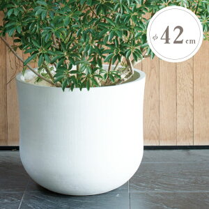  ^ Aؔ u|vijiPOPNANIj CC Mv a42cm 36.5cm e38L zCg