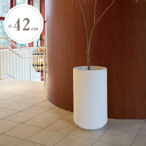 yGg[Ń|Cg5{z ^ Aؔ u|vijiPOPNANIj g[CCv a42cm 70cm e74L zCg
