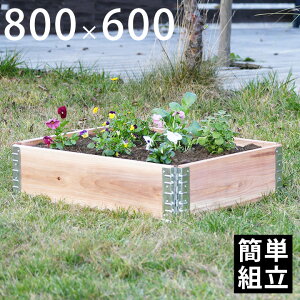 yGg[Ń|Cg5{zK[fv^[  ؐv^[  Ԓd ua+ design K[f{bNX 800×600 i`v ړI IVv^[  t[  v