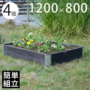 yؐv^[z yz yԒdz ua+ design K[f{bNX1200×800 4Zbg ubNv