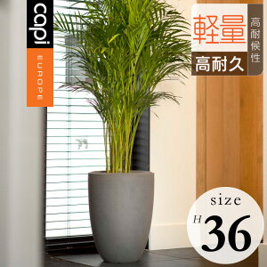 Aؔ y  uJsiCapij A[oX[X x[XGKgiUrbanSmooth VaseElegantj 26×H36cmv 8^^^ubNE_[NO[^ꌊȂ