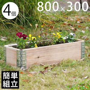 yؐv^[z yK[fjOz yԒdz ua+ design K[f{bNX800×300 4Zbg i`v