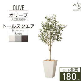 フェイクグリーン 大型 特大 高さ180cm 「オリーブS×Tall Square w/g」 人工観葉植物 鉢セット インテリアグリーン プランター 簡単組立 おしゃれ リアル 室内 オフィス