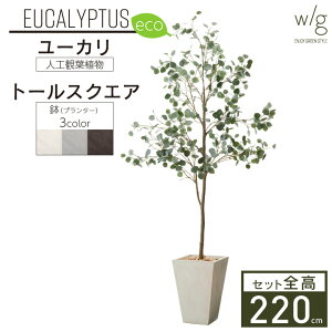 yGg[Ń|Cg5{ztFCNO[Zbg ^uۗt[JL×g[XNGA w/g-ecov220cm lHϗtA CeAO[ v^[ ȒPg  A 