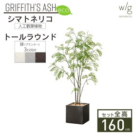 フェイクグリーン鉢セット 大型「シマトネリコ×キューブ w/g-eco」高さ160cm 人工観葉植物 インテリアグリーン プランター 簡単組立 おしゃれ リアル 室内 オフィス