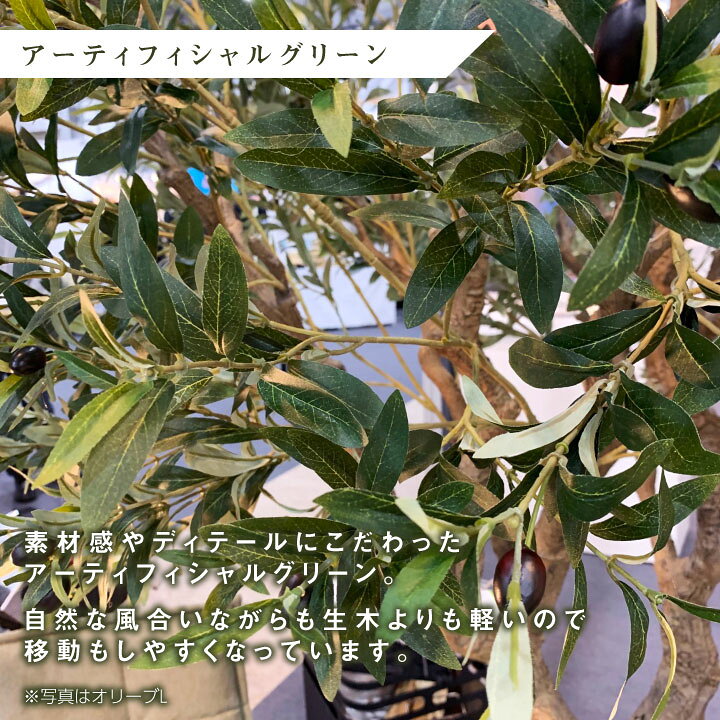 フェイクグリーン 大型 リアル「ウンベラータ×Cube w/g」 高さ150cm フィカス ゴムの木 人工観葉植物 鉢セット インテリア グリーン プランター 簡単組立 おしゃれ リアル 室内 オフィス おしゃれガーデン家具と物置 JUICY ベンガルボダイジュ FST W80×H150cm 99116 アーティフィシャルグリーン 人工観葉植物 鉢付きグリーン