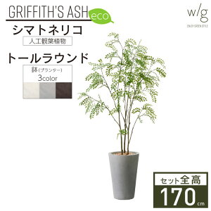 yGg[Ń|Cg5{ztFCNO[Zbg ^uV}glR×g[Eh w/g-ecov170cm lHϗtA CeAO[ v^[ ȒPg  A  