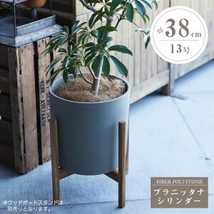 オリーブ 鉢 おしゃれの人気商品 通販 価格比較 価格 Com