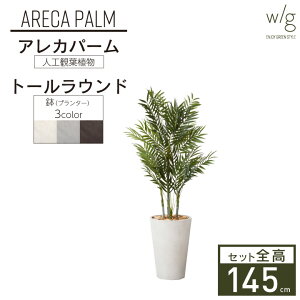yGg[Ń|Cg5{zCeAO[×v^[Zbg ^ uAJp[×Tall Round w/gv 145cm lHϗtA tFCNO[  A  ItBX