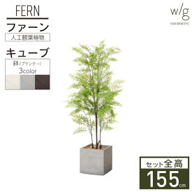 フェイクグリーン鉢セット 大型 「ファーン×Cube w/g」 高さ155cm 人工観葉植物 インテリアグリーン プランター 簡単組立 おしゃれ リアル 室内 オフィス