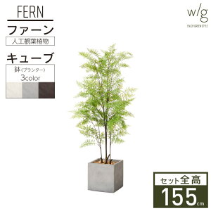 yGg[Ń|Cg5{zCeAO[×v^[Zbg ^ ut@[×Cube w/gv 155cm lHϗtA tFCNO[  A  ItBX
