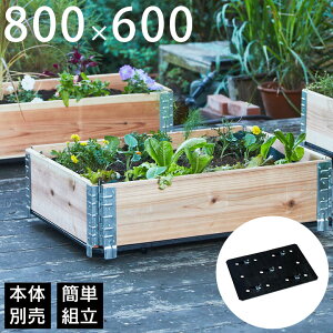 K[fjO LX^[ ړua+ design K[f{bNX800×600p LX^[tx[Xv