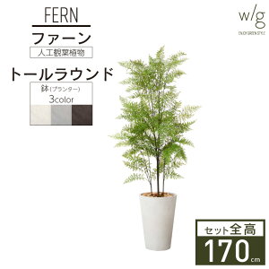 yGg[Ń|Cg5{zCeAO[×v^[Zbg ^ ut@[×Tall Round w/gv 170cm lHϗtA tFCNO[  A  ItBX